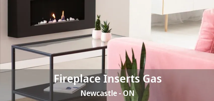 Fireplace Inserts Gas Newcastle - ON