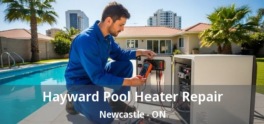 Hayward Pool Heater Repair Newcastle - ON