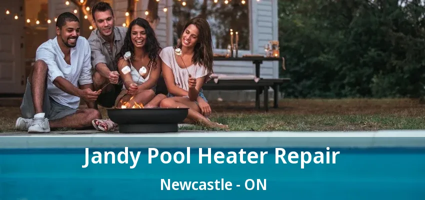 Jandy Pool Heater Repair Newcastle - ON Jandy Pool Heater Repair Newcastle - ON