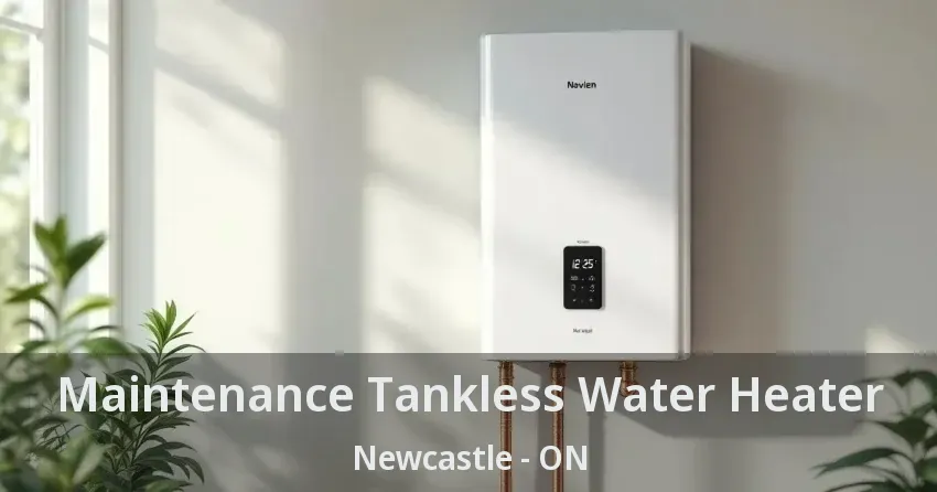 Maintenance Tankless Water Heater Newcastle - ON Maintenance Tankless Water Heater Newcastle - ON