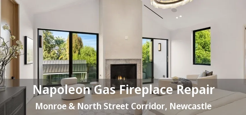 Napoleon Gas Fireplace Repair Monroe & North Street Corridor, Newcastle - ON Napoleon Gas Fireplace Repair Monroe & North Street Corridor, Newcastle - ON