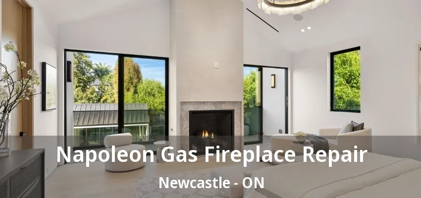 Napoleon Gas Fireplace Repair Newcastle - ON Napoleon Gas Fireplace Repair Newcastle - ON