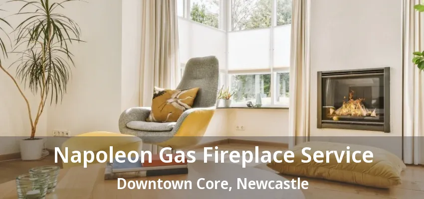 Napoleon Gas Fireplace Service Downtown Core, Newcastle - ON
