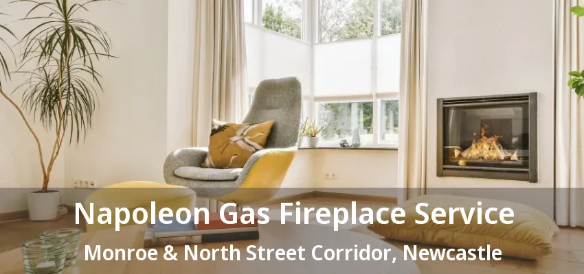 Napoleon Gas Fireplace Service Monroe & North Street Corridor, Newcastle - ON