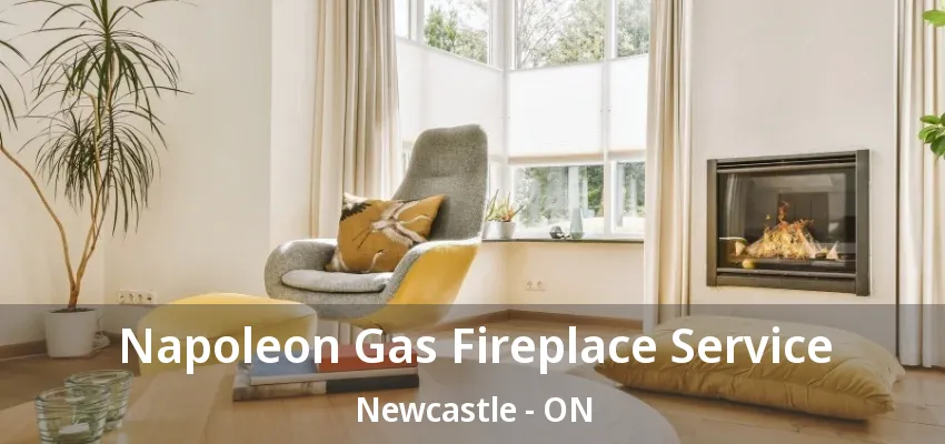 Napoleon Gas Fireplace Service Newcastle - ON