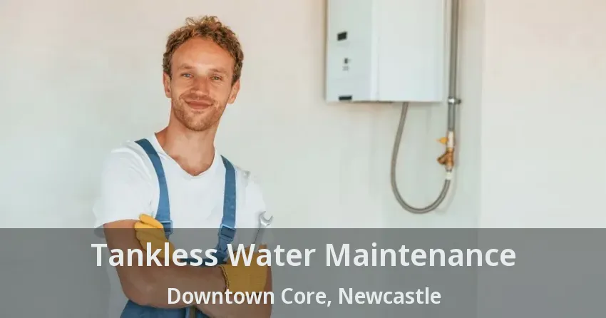 Tankless Water Maintenance Downtown Core, Newcastle - ON Tankless Water Maintenance Downtown Core, Newcastle - ON