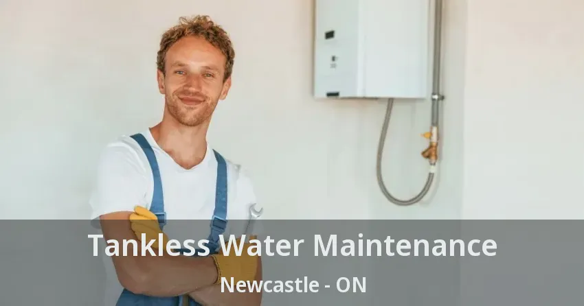 Tankless Water Maintenance Newcastle - ON Tankless Water Maintenance Newcastle - ON